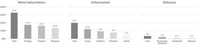 Clinical Characteristics of Minor Hallucinations in Chinese Parkinson's Disease Patients